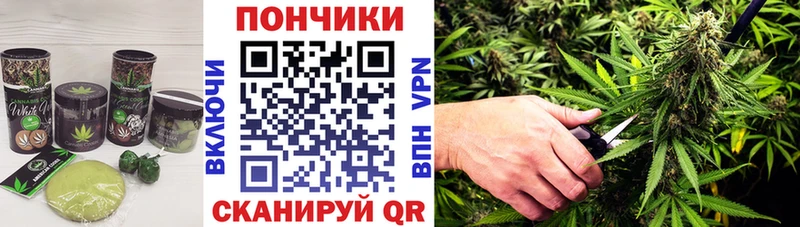 Canna-Cookies марихуана  Купить где  Оса 