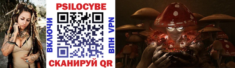 Псилоцибиновые грибы Cubensis Оса